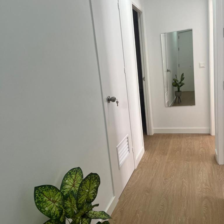 apartamentos Larios centro - Apartamento de 2 dormitorios - 8