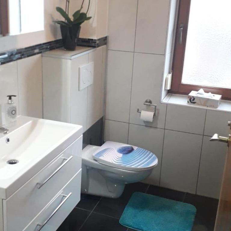 Panorama - Apartment mit Dusche - 8