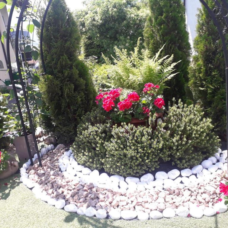 Panorama - Apartment mit Dusche - 6