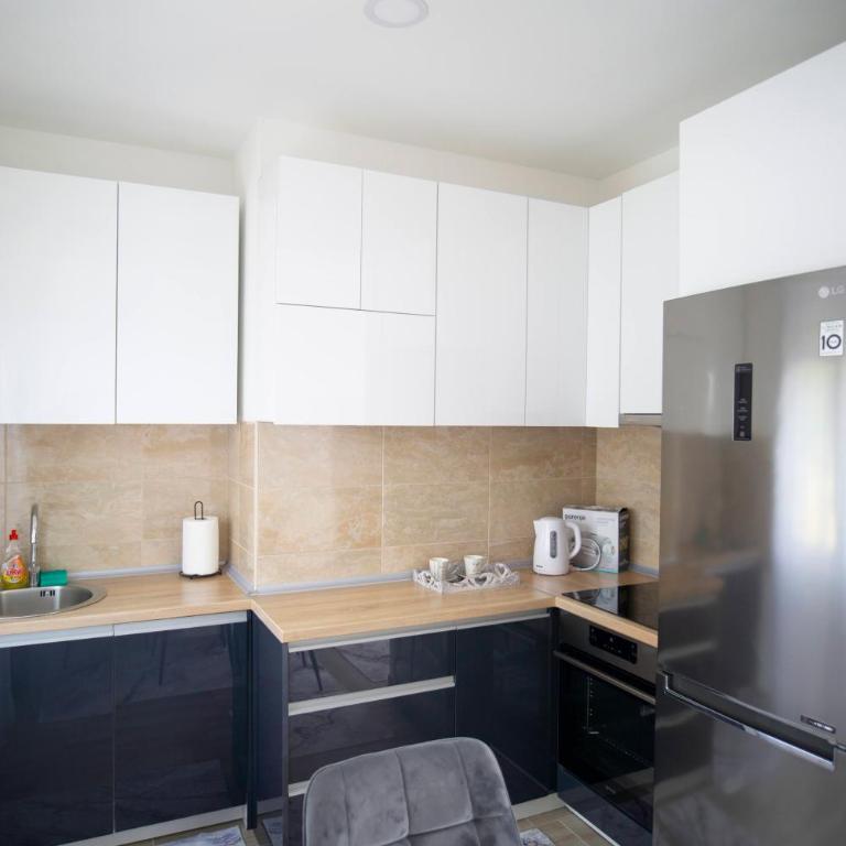 Luxury Apartments Milićević - Apartman sa 1 Spavaćom Sobom - 31
