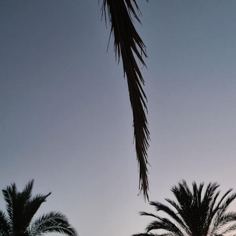 Villa Ange Azur - Appartamento con 1 Camera da Letto - 16