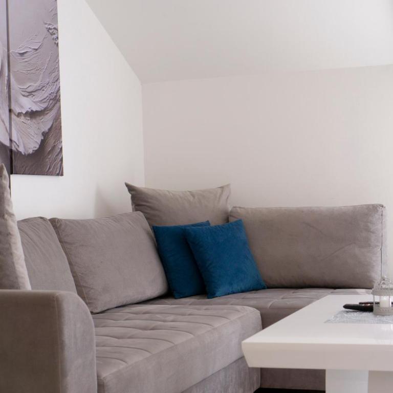Luxury Apartments Milićević - Apartman sa 1 Spavaćom Sobom - 11