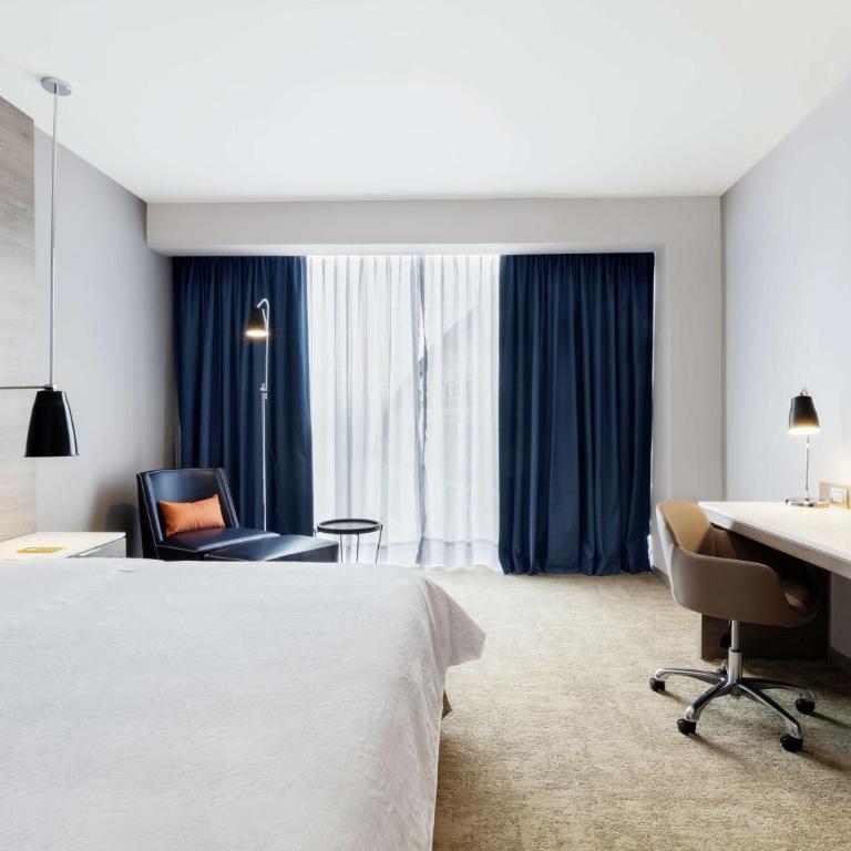 Hilton Garden Inn Mexico City Santa Fe - Habitación con cama extragrande. - 1