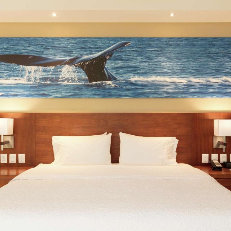 Hampton Inn & Suites by Hilton Los Cabos - King Studio Suite - Non-Smoking - 1