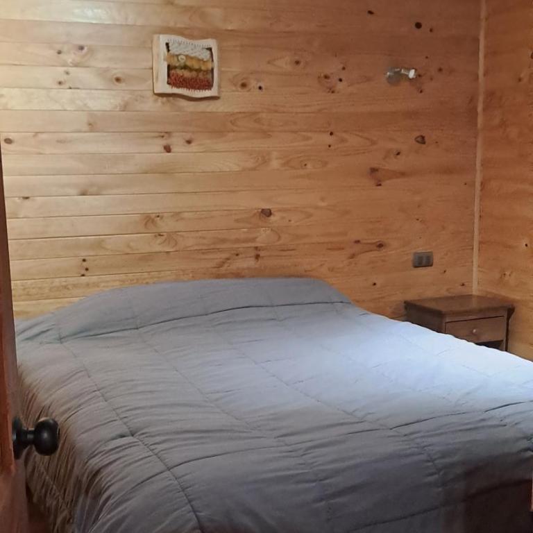 GLAMPING CABAÑA HOLMBERG - Family Room with Mountain View - 4