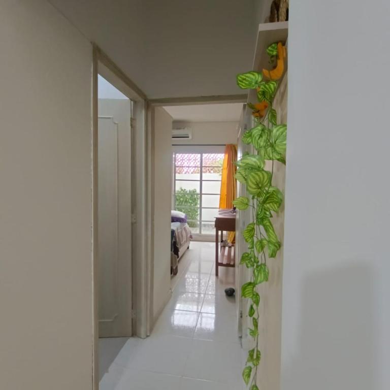 Nuevo Santa marta Cómodo 4 personas - Two-Room Apartment - 18