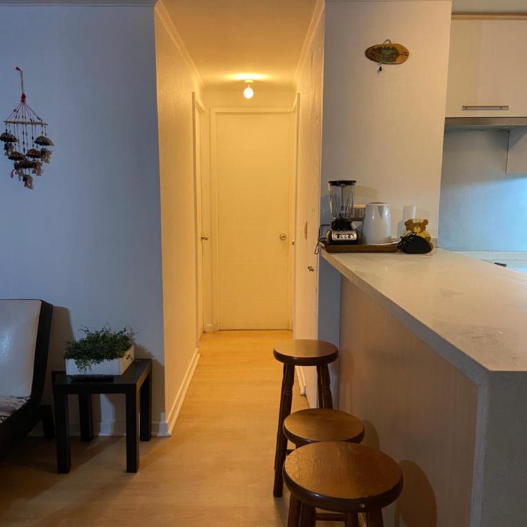 Agradable departamento, frente a la Quinta Vergara - Apartamento de 2 dormitorios - 17