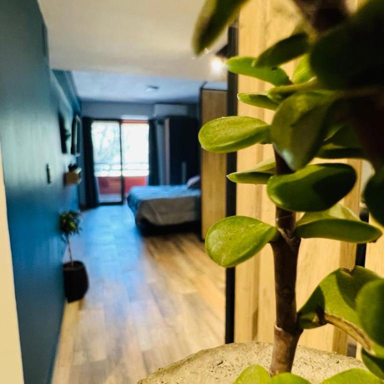 Park View Studio - Apartamento de 1 dormitorio - 11