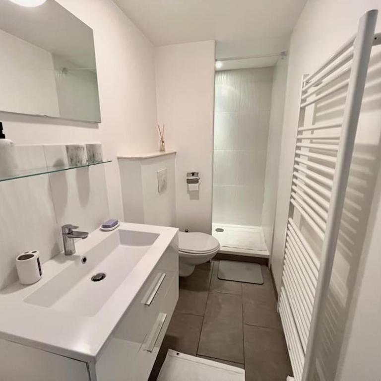 Très bel appartement à 2 pas du Théâtre Sébastopol - Appartement 1 Chambre - 3