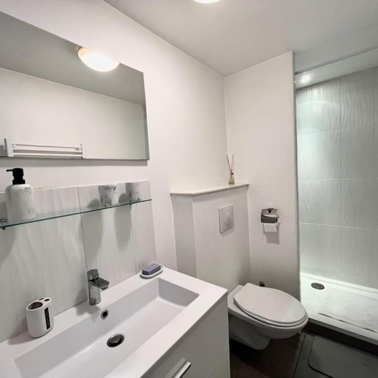 Très bel appartement à 2 pas du Théâtre Sébastopol - Appartement 1 Chambre - 6
