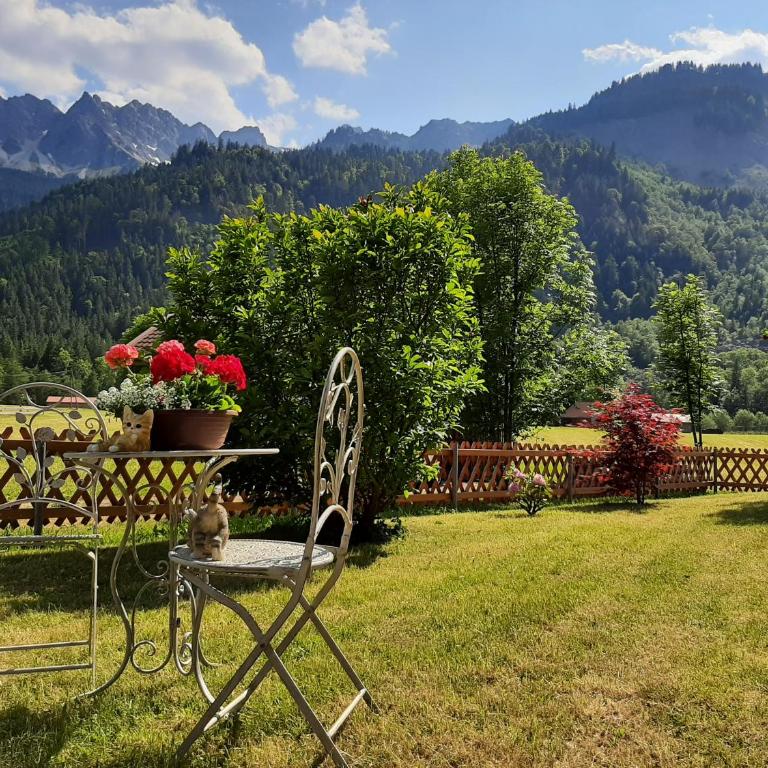 Haus Angelika - Apartment mit Dusche - 1