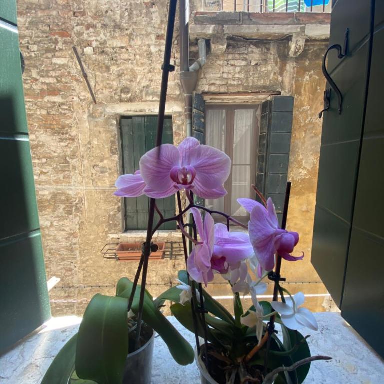 Emma's House - Appartamento con 1 Camera da Letto - 21