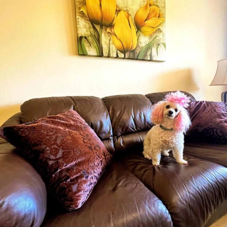 Beautiful apartment with pools, playground and paddle tennis - Family friendly and near Vithas Hospital - Free parking in garage - Three-Bedroom Apartment - 41