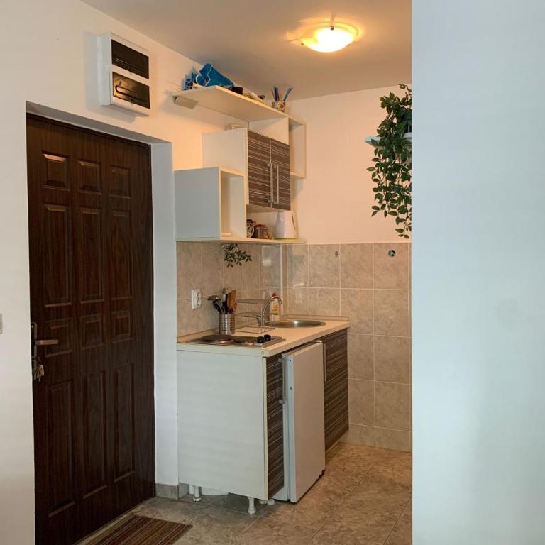 Mint Apartment studio - One-Bedroom Apartment - 5