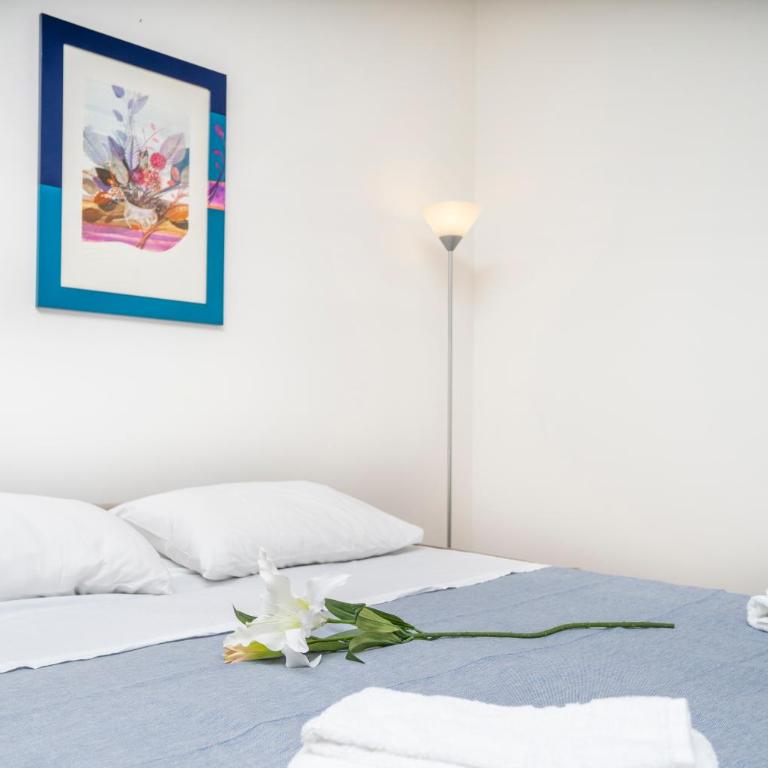 GuestHost - Nest in the City - Monolocale - 8