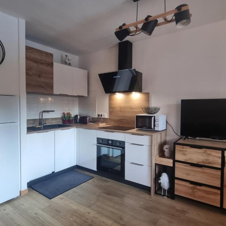 Bel appartement avec piscine - Le Grand Tétras - Appartement 2 Chambres - 24