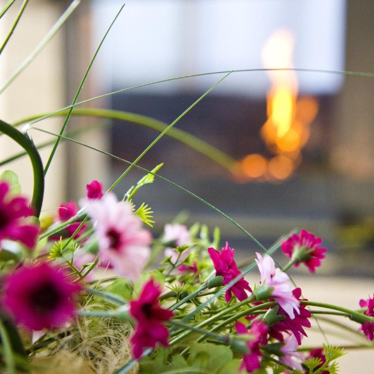 Hotel Del Lago - Suite with Fireplace and Spa Access - 1