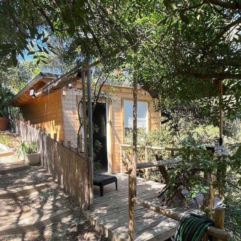 Chalet dans les arbres - Chalet 1 Chambre - 1