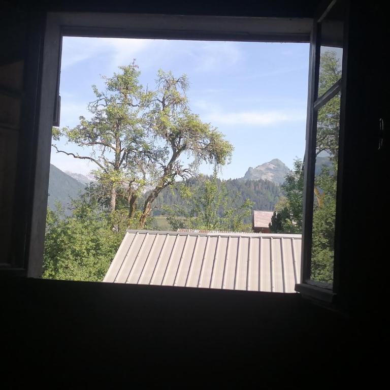 Petit Chalet - Maison 2 Chambres - 13