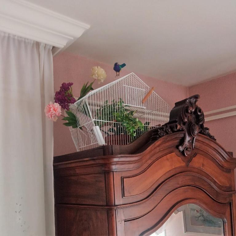 Rosalie Cottage - Appartement 1 Chambre - 17
