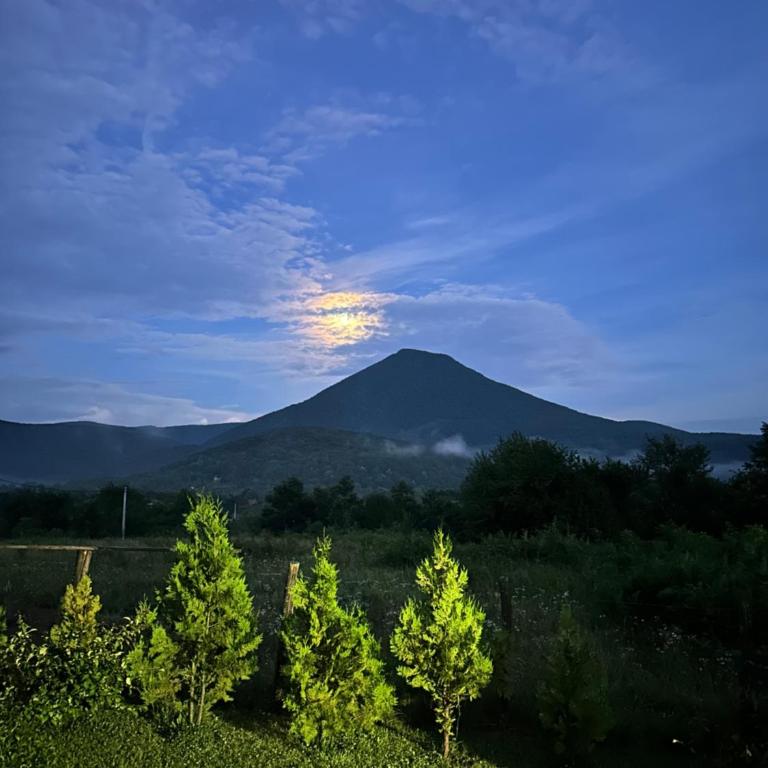 B&B Hills Bihać - One-Bedroom House - 17