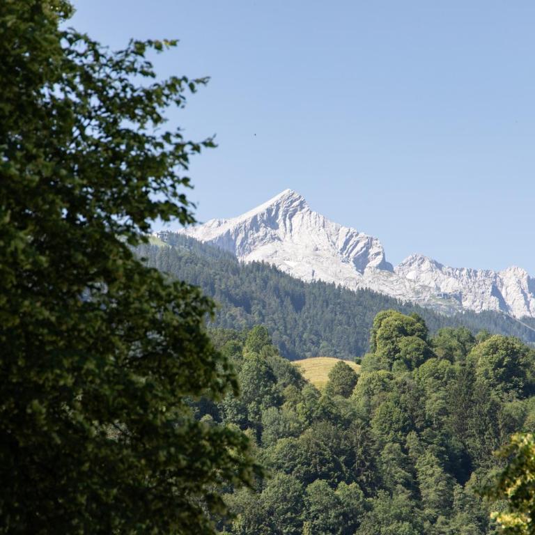 Bergnest - Appartamento con Vista Montagna - 6