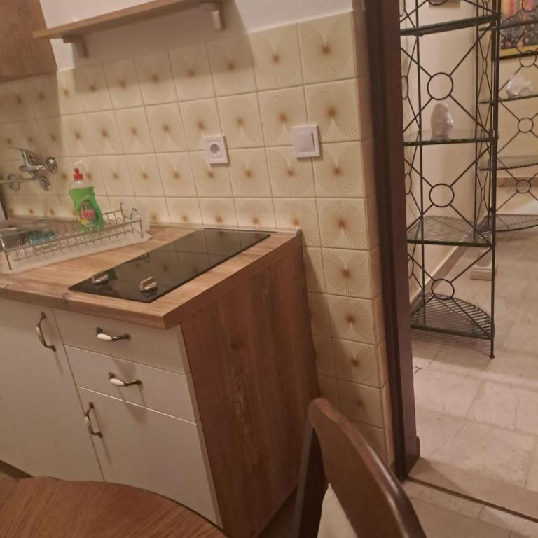 Apartmani Pandurevic - King Studio - 2