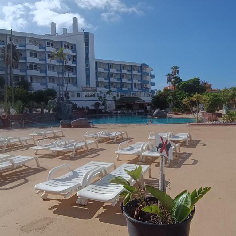 Serendipia - Apartamento de 1 dormitorio - 21