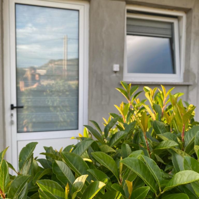 Apartman MAK - Apartman sa 1 Spavaćom Sobom - 18