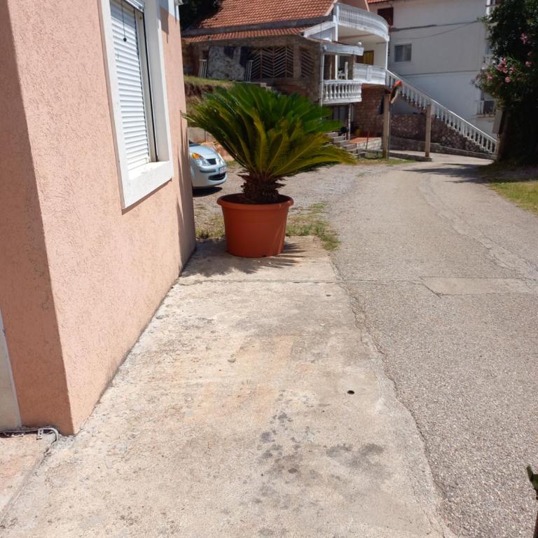 Apartmani Vujovic Markovici 2 - Apartman sa 1 Spavaćom Sobom - 10