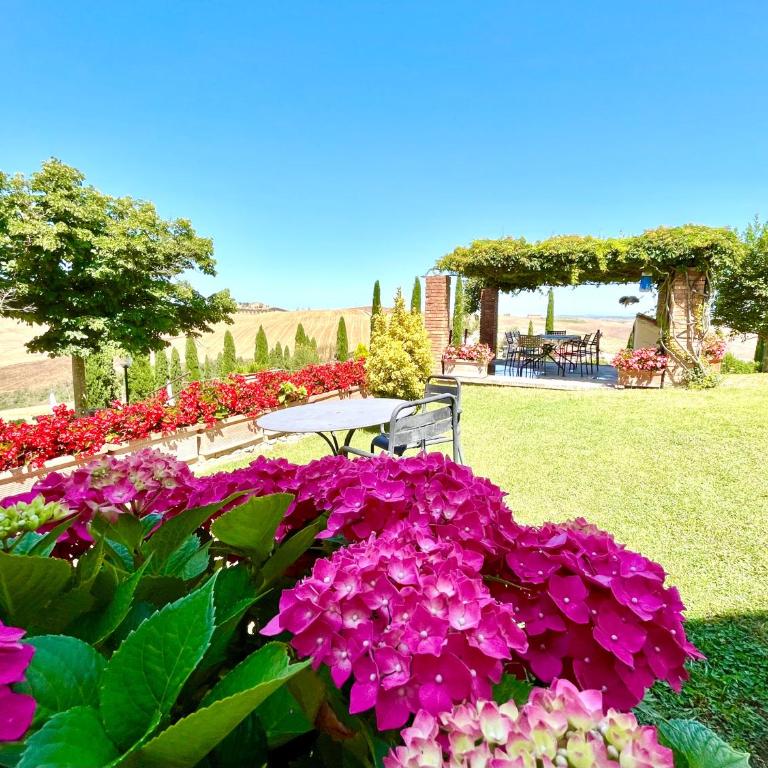 Poggiosalto in Toscana - Appartamento - Piano Terra - 17