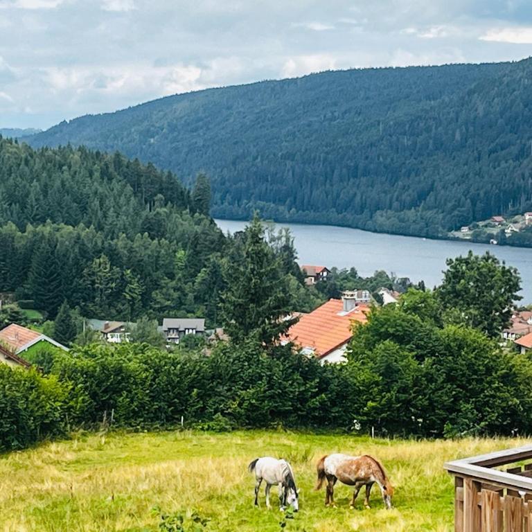 Stone Lake Luxury Lodge - Maison 4 Chambres - 24