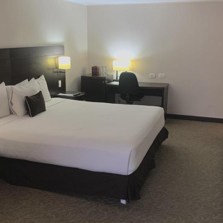 HOTEL CHACAO SUITES - Junior Suite - 4
