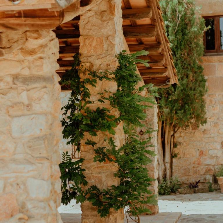 Mas Noguer - Casa de 6 dormitorios - 12