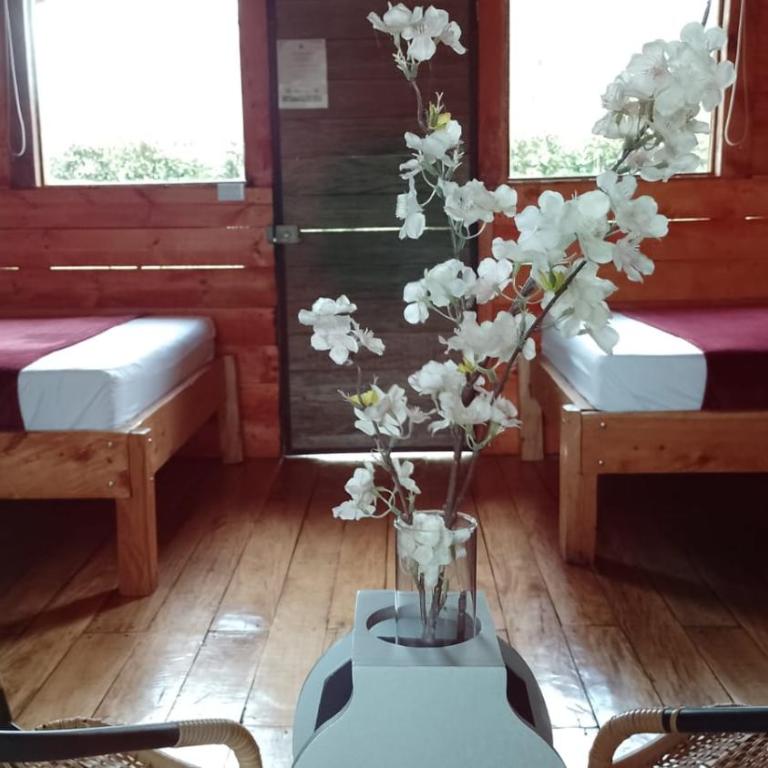 Sukha Glamping - Habitación Familiar con vistas al jardín - 5
