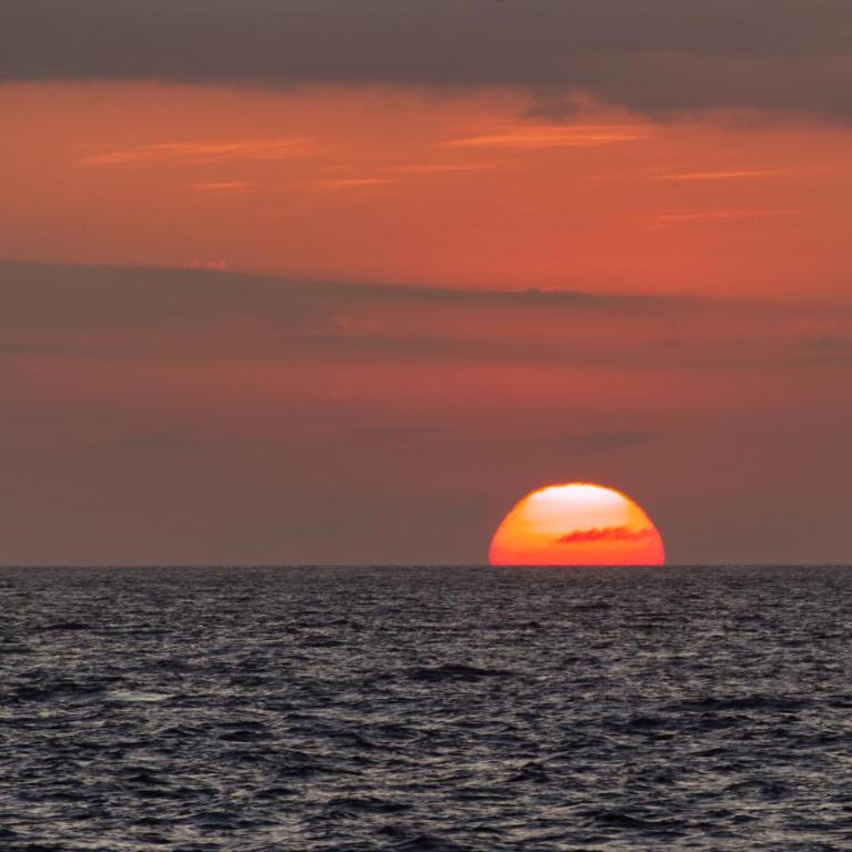 Suite Cielo, Discover the magic of Galapagos - One-Bedroom Apartment - 9