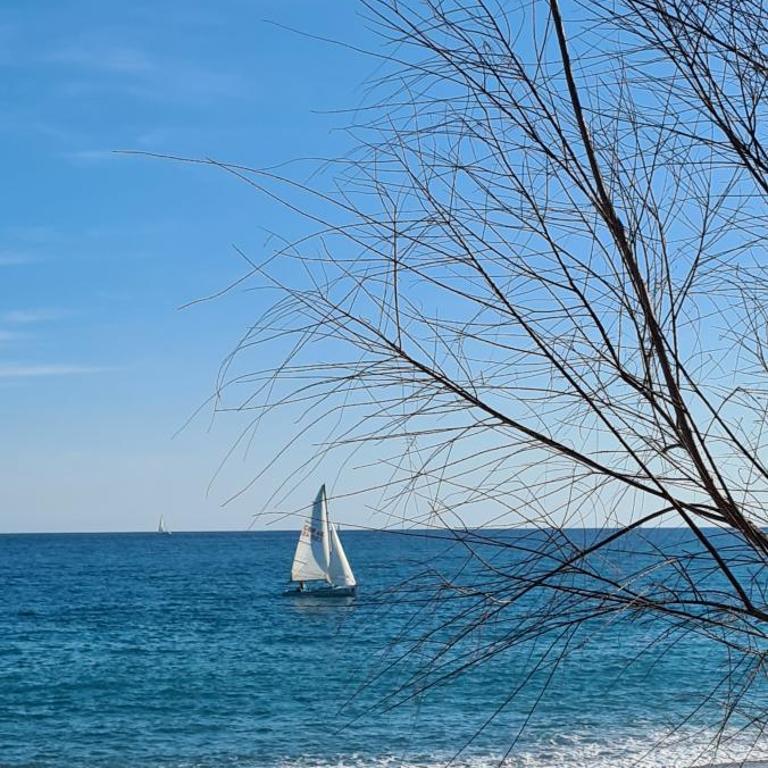 Villa Ange Azur 2 - Appartement 3 Chambres - 23