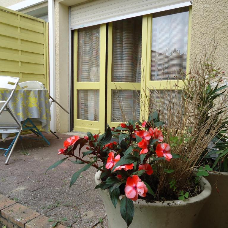 Studios La Gemme - Studio avec Terrasse - 1