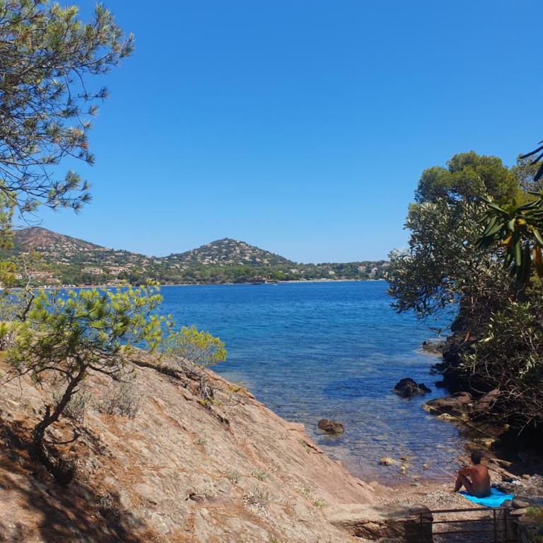 Maison provençale authentique en front de mer à Agay - Villa Superior - 20