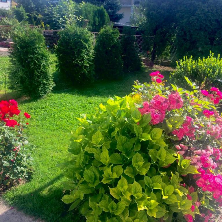 Apartman Balkan - Apartman sa Balkonom - 1