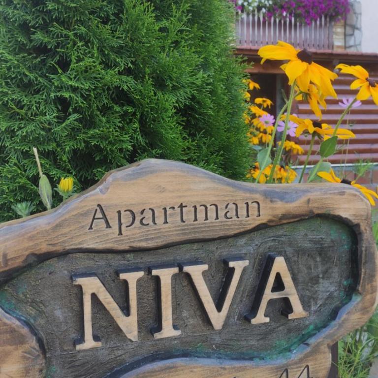 Apartment Niva - Apartman - 3