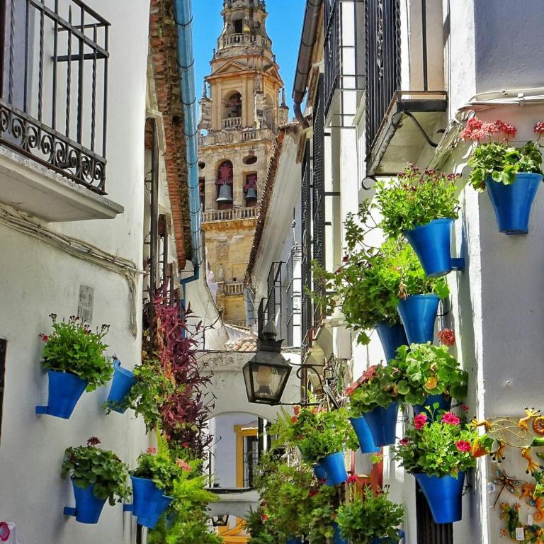 Apartamento el Arcángel de Córdoba - Apartamento de 2 dormitorios - 23