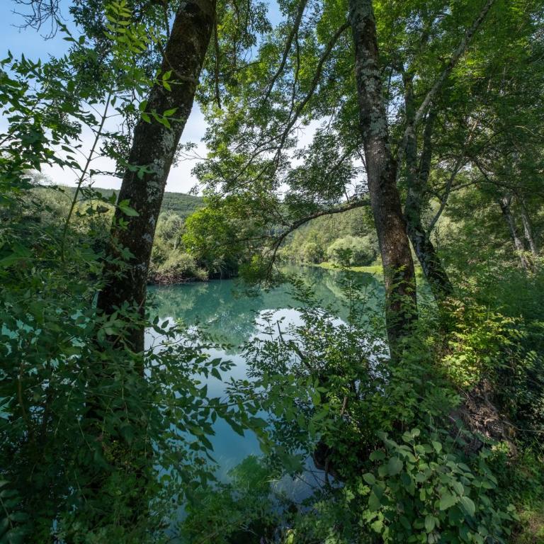 Greenoasis Bihac - Villa - 7