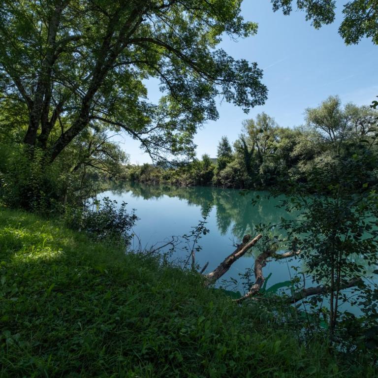 Greenoasis Bihac - Villa - 10