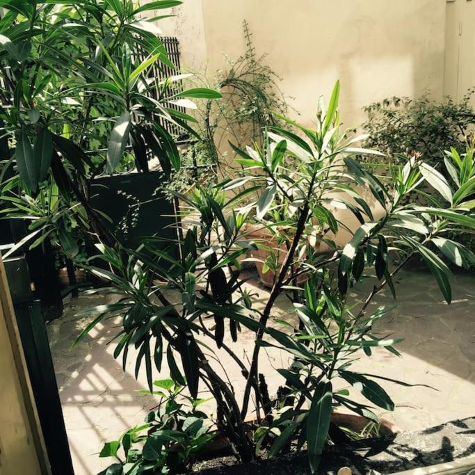 Charming apartment in the historic center of Paris - Appartement 1 Chambre - 9
