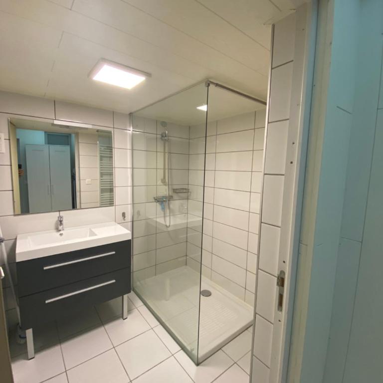 Appart Hotel - Les Cosy De Nancy - Place du marché, proche gare - Appartement 1 Chambre - 7