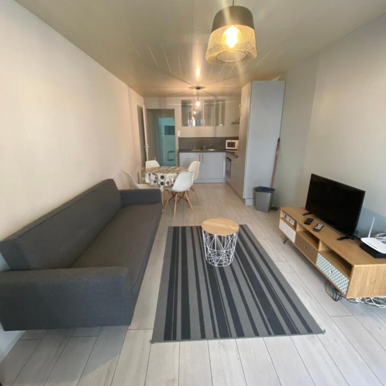 Appart Hotel - Les Cosy De Nancy - Place du marché, proche gare - Appartement 1 Chambre - 14
