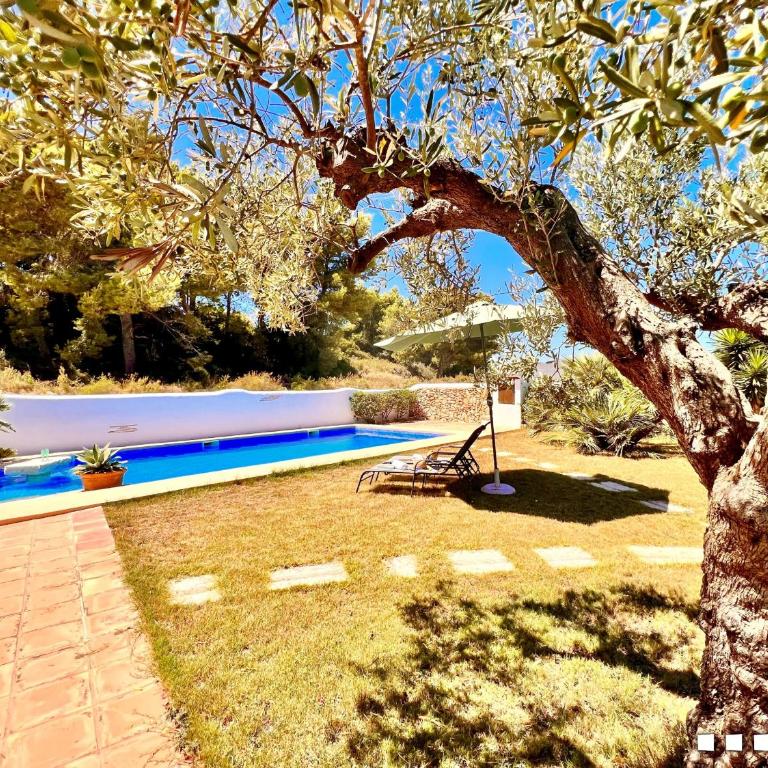 VH CostaBlanca - MARIPOSA - Villa - 5