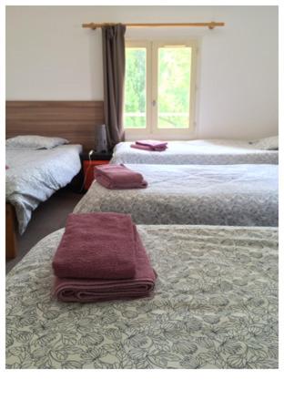 Mas des Amarens - Appartamento con 2 Camere da Letto - 11