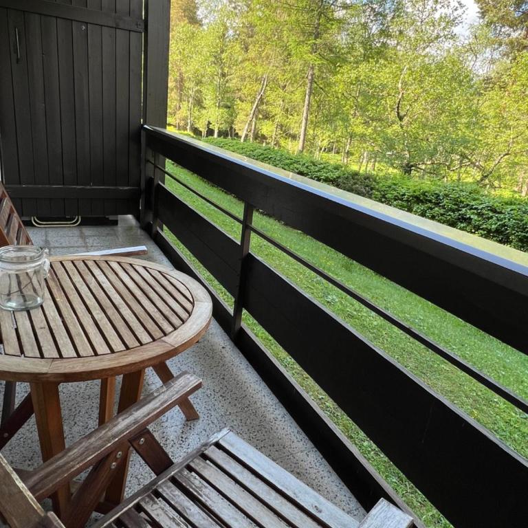 Appartementhaus Birkenwald - Apartment mit Balkon - 1